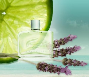Regulation pushes fragrance vs flavours