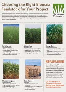 Genera Biomass Infographic