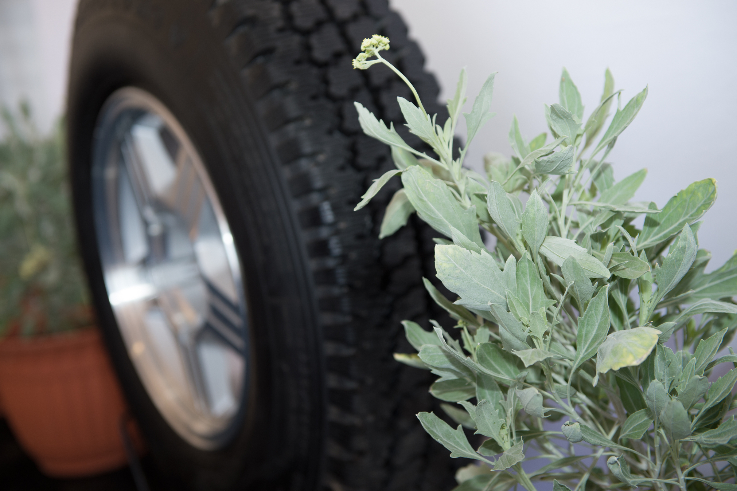 Photo source: Bridgestone Americas