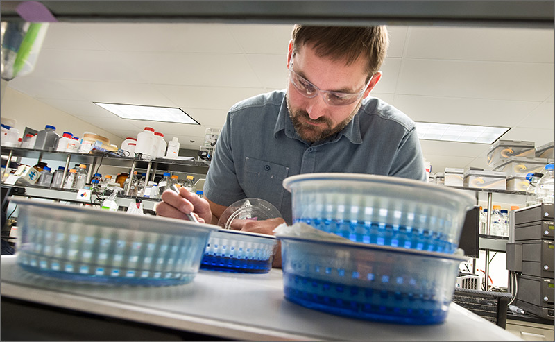 NREL Senior Scientist Roman Brunecky examines the molecular weight of the enzyme CelA on a gel in the Protein Chemistry Lab in the Field Test Laboratory Building on NREL's Golden, Colorado, campus.