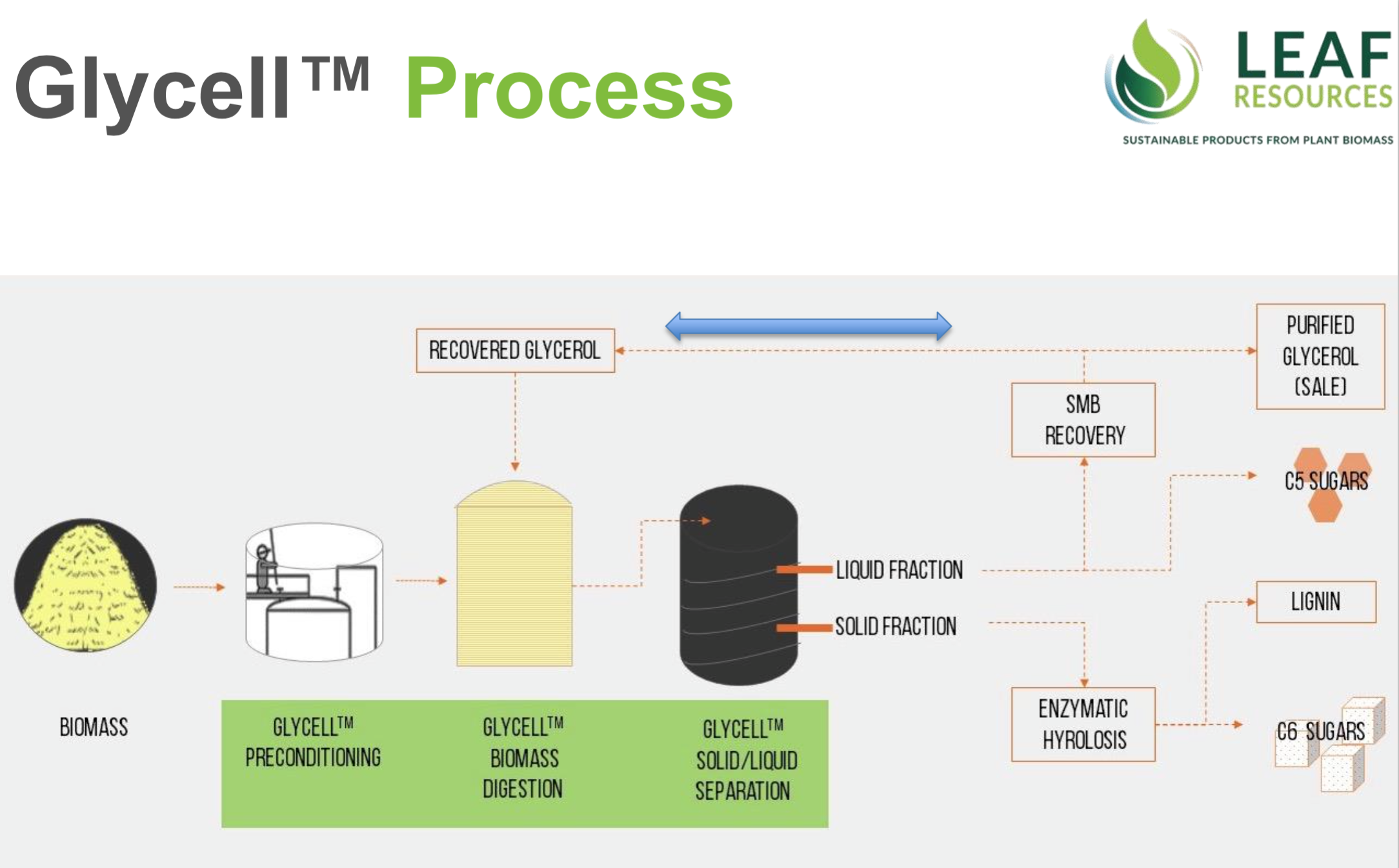 Leaf Resources In Biorefinery Jv Green Chemicals Blog