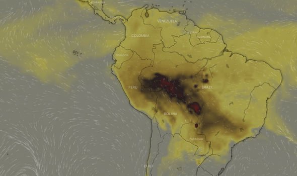 Applying Sustainability To Save The Amazon Rainforest Green Chemicals Blog